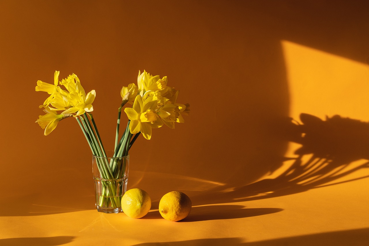 How to Create a DIY Memory Wall for Your Home